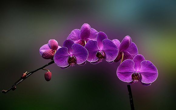 来工装载机多少钱