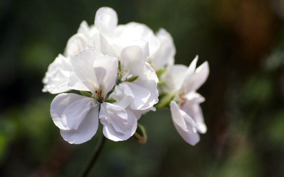 ic热水表怎么破解
