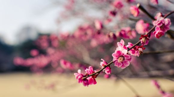 什么是线型电路